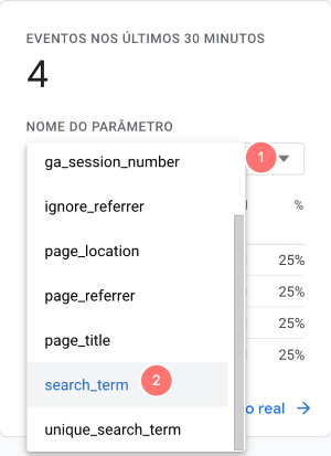 search term parâmetro