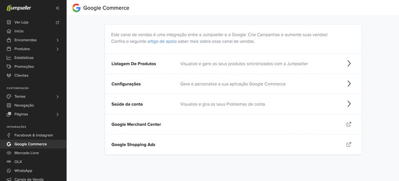 Google Performance Max Campaigns Example